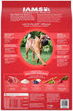 Iams ProActive Health Dry Dog Food for All Dogs – Lamb and Rice, 30 Pound Bag