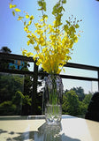 Hometopia Glass Flower Vases for Wedding Centerpieces, Tall Glass Vases and Clear Glass Vases for flowers.
